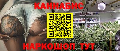 сатива Пенза