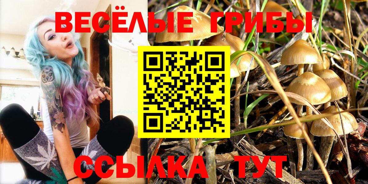 Галлюциногенные грибы мицелий  Вход с VPN  Валуйки 